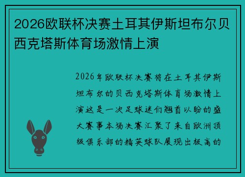 2026欧联杯决赛土耳其伊斯坦布尔贝西克塔斯体育场激情上演