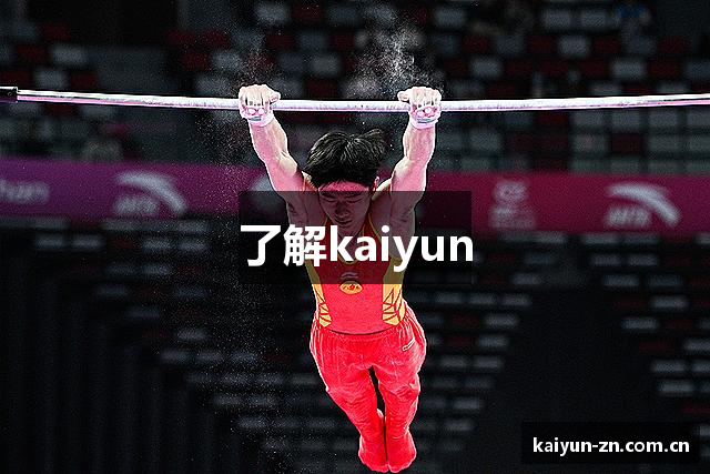 了解kaiyun